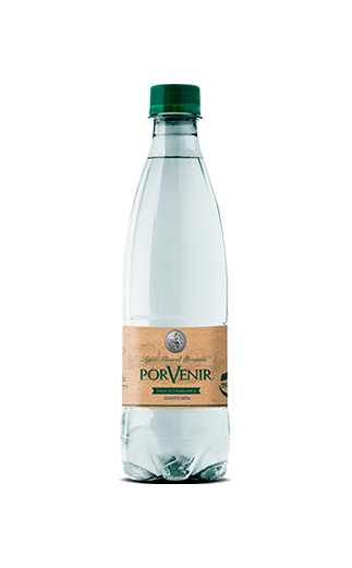 ID 4233929 - AGUA MINERAL CON GAS PORVENIR BOTELLA 500 CC UNIDAD